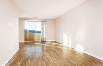 Empty living room 